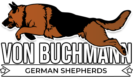 Von Buchmann